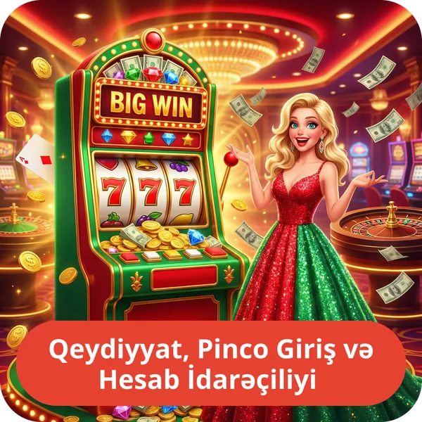 Qeydiyyat, Pinco Giriş və Hesab İdarəçiliyi